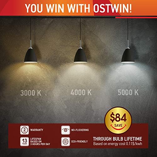 Led лампа OSTWIN A19, 9 W (еквивалент на 60 W), 5000 К (дневна светлина), Средна база E26, 800 лумена, Не